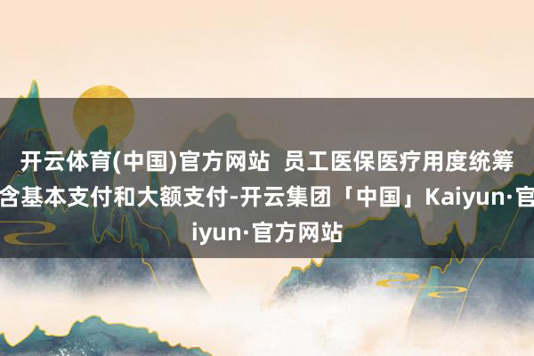 开云体育(中国)官方网站  员工医保医疗用度统筹支付包含基本支付和大额支付-开云集团「中国」Kaiyun·官方网站