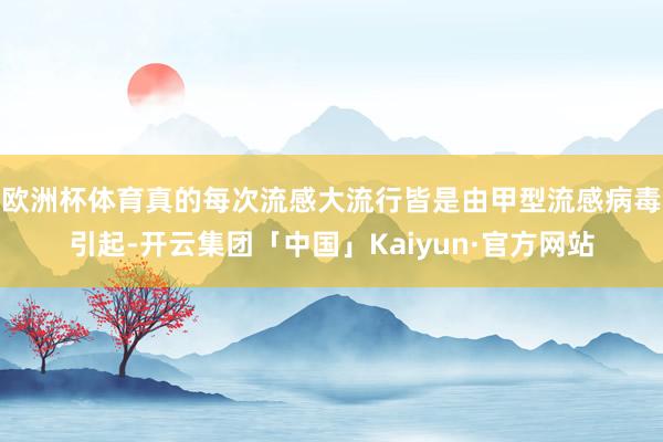欧洲杯体育真的每次流感大流行皆是由甲型流感病毒引起-开云集团「中国」Kaiyun·官方网站
