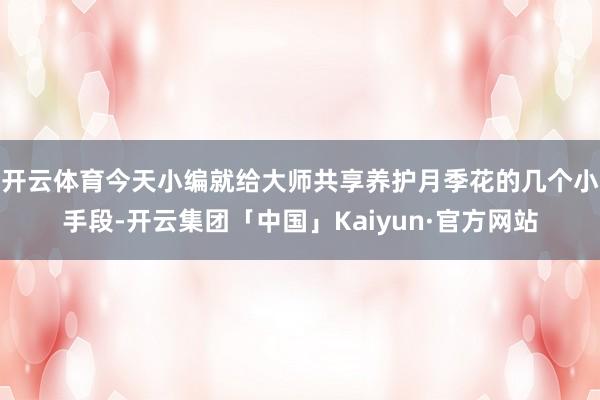 开云体育今天小编就给大师共享养护月季花的几个小手段-开云集团「中国」Kaiyun·官方网站