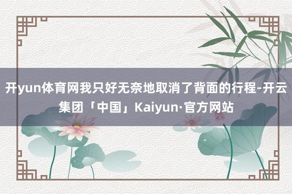 开yun体育网我只好无奈地取消了背面的行程-开云集团「中国」Kaiyun·官方网站