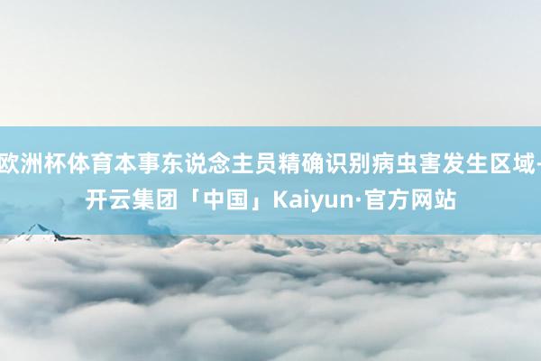 欧洲杯体育本事东说念主员精确识别病虫害发生区域-开云集团「中国」Kaiyun·官方网站