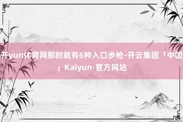 开yun体育网那时就有6种入口步枪-开云集团「中国」Kaiyun·官方网站