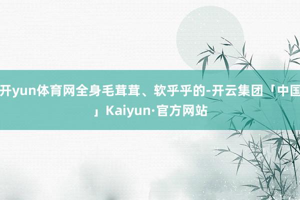开yun体育网全身毛茸茸、软乎乎的-开云集团「中国」Kaiyun·官方网站