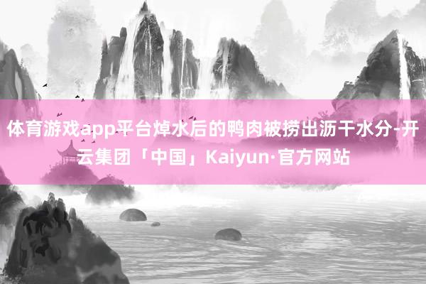 体育游戏app平台焯水后的鸭肉被捞出沥干水分-开云集团「中国」Kaiyun·官方网站
