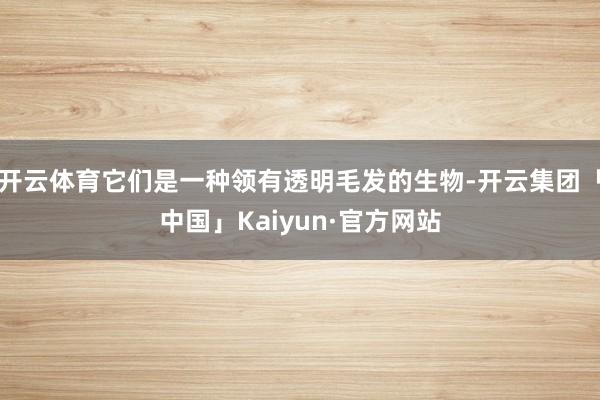 开云体育它们是一种领有透明毛发的生物-开云集团「中国」Kaiyun·官方网站